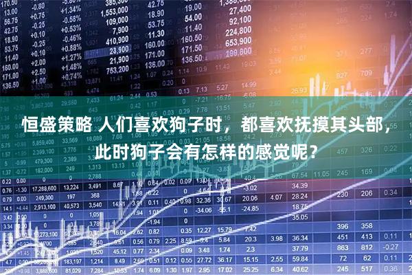 恒盛策略 人们喜欢狗子时，都喜欢抚摸其头部，此时狗子会有怎样的感觉呢？